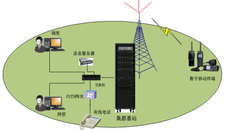 路由器与交换机：网络架构中的关键角色解析